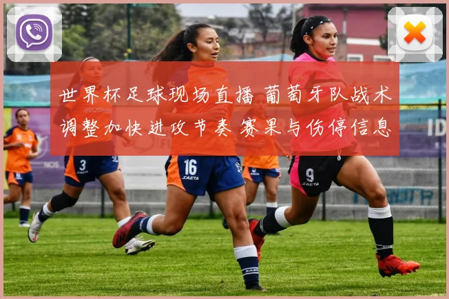 世界杯足球现场直播 葡萄牙队战术调整加快进攻节奏 赛果与伤停信息影响比赛走向