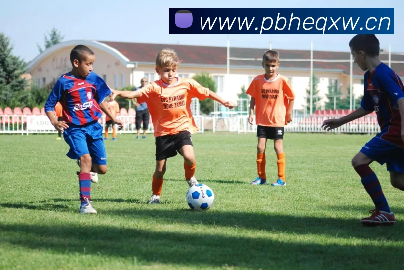 App Interface Preview